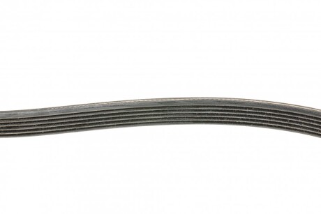 Фото 2 - Ремінь приводний Continental 6PK1495