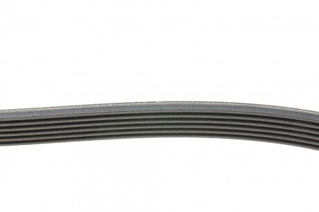 Фото 2 - Ремінь приводний Continental 6PK1515