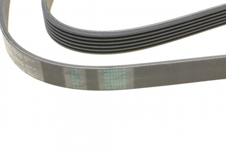 Фото 3 - Ремінь приводний Continental 6PK1515