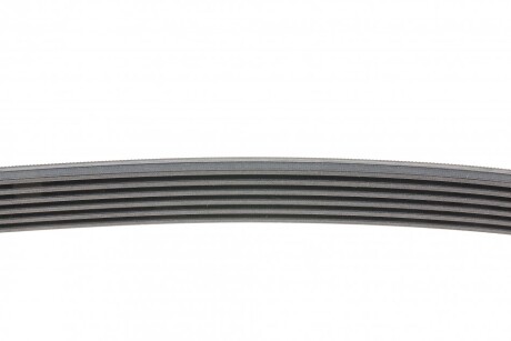 Фото 2 - Ремінь приводний Continental 6PK1548