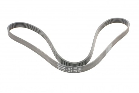 Фото 5 - Ремінь приводний Continental 6PK1555