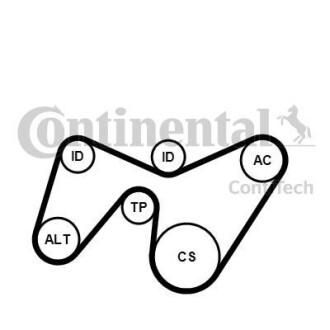 Комплект (ремінь+ролики) - Continental 6PK1642K2