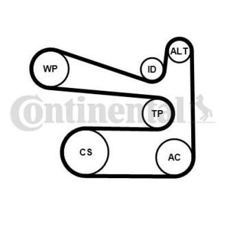 Комплект (ремінь+ролики) - Continental 6PK1693K1