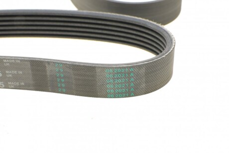 Фото 3 - Ремень приводной Continental 6PK1915