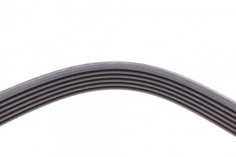 Фото 4 - Ремень приводной Continental 6PK1920