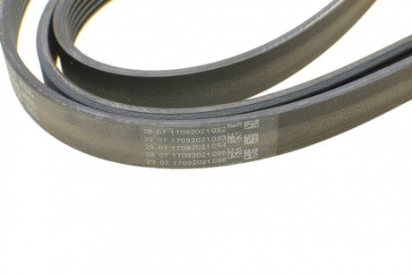 Фото 4 - Ремень приводной Continental 6PK2205