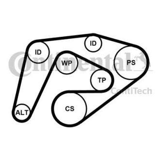Zestaw paska w/klinowego - Continental 6PK2260K3