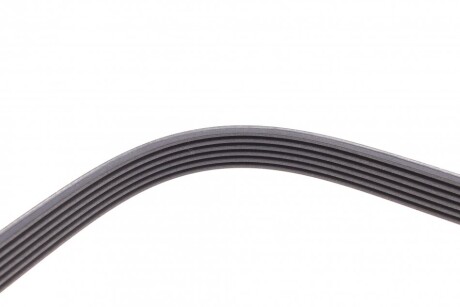 Фото 3 - Ремінь приводний Continental 6PK2390