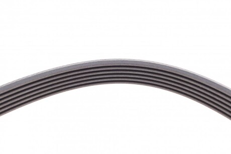 Фото 4 - Ремінь приводний Continental 6PK2404