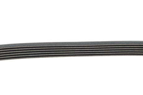 Фото 3 - Ремінь приводний Continental 6PK860 ELAST (6PK860ELAST)