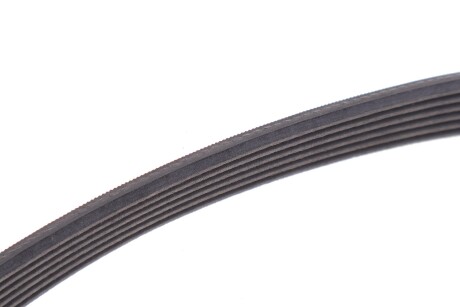 Фото 3 - Ремінь приводний Continental 6PK868 ELAST (6PK868ELAST)