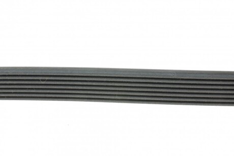 Фото 2 - Ремінь приводний Continental 7DPK2880