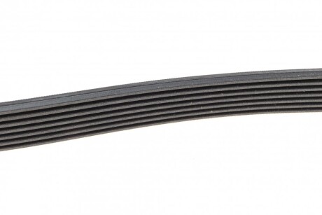 Фото 4 - Ремінь приводний Continental 7PK1338