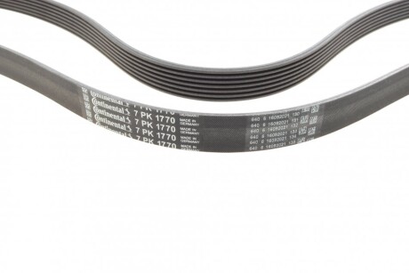 Фото 2 - Ремінь приводний Continental 7PK1770