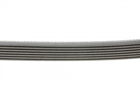 Фото 2 - Ремінь приводний Continental 7PK1855