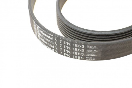 Фото 3 - Ремінь приводний Continental 7PK1855