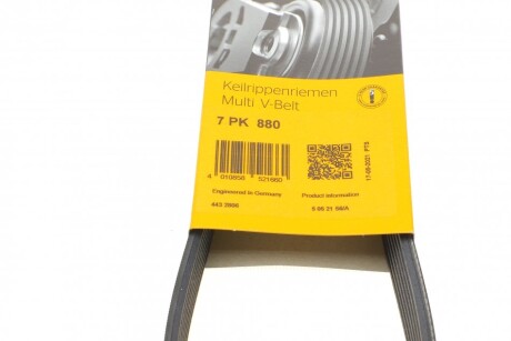 Фото 6 - Ремінь приводний Continental 7PK880