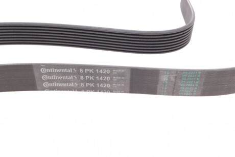 Фото 2 - Ремінь приводний Continental 8PK1420