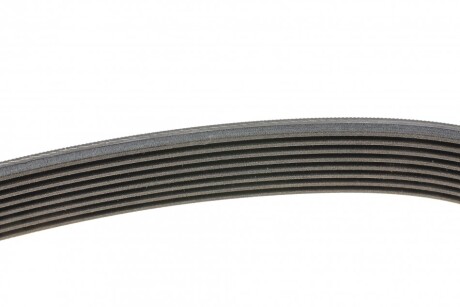 Фото 2 - Ремінь приводний Continental 8PK1520