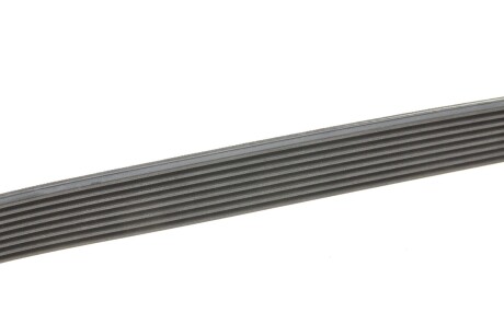 Фото 2 - Ремінь приводний Continental 8PK954 EXTRA (8PK954EXTRA)