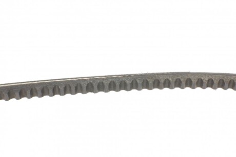 Фото 2 - Ремінь приводний Continental AVX10X740