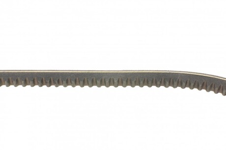 Фото 2 - Ремень приводной Continental AVX13X975