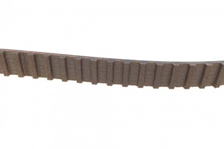 Фото 3 - Ремень ГРМ Continental CT660