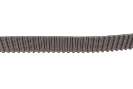 Фото 3 - Ремінь ГРМ Continental CT920