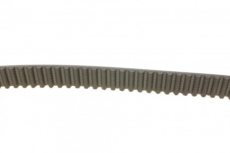 Фото 2 - Ремень ГРМ Continental CT924