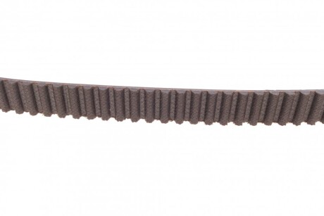 Фото 3 - Комплект ременя ГРМ Continental CT975WP3