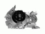 Помпа води Dacia Logan/Sandero 1.0/1.2 06-/Renault Kangoo/Clio/Logan/Twingo 1.2/1.2 16V 01- - (210101832R, 210108845R, 2101000Q0A) Continental WP6081 (фото 1)