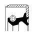 Сальник колінвалу (110x140/140x14) KOMATSU MASSEY FERGUSON - ((0701240110, 21M3811610)) CORTECO 19033651B (фото 1)