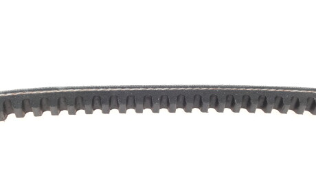 Фото 4 - Ремінь приводний DAYCO 10A0650C