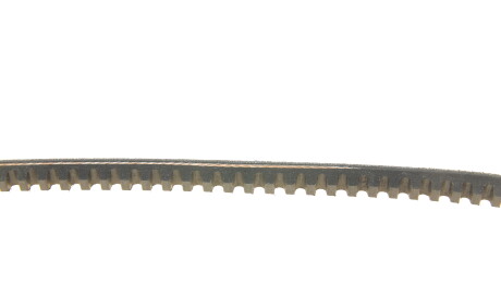 Фото 3 - Ремень приводной DAYCO 10A0760C