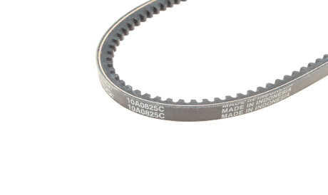 Фото 3 - Ремінь приводний DAYCO 10A0825C