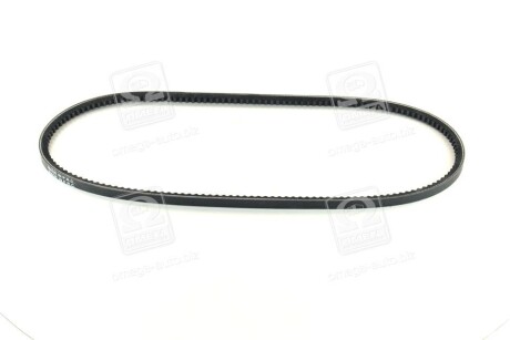 Фото 3 - Ремінь приводний DAYCO 10A0980C