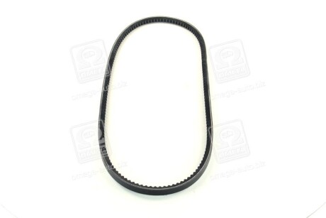 Фото 4 - Ремінь приводний DAYCO 10A0980C