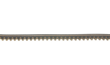 Фото 3 - Ремень приводной DAYCO 10A1025C