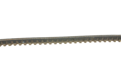 Фото 3 - Ремінь приводний DAYCO 10A1090C