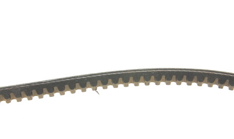 Фото 3 - Ремень приводной DAYCO 10A1200C