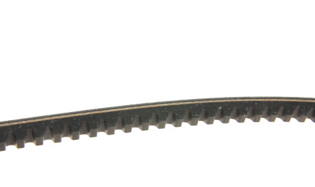 Фото 3 - Ремень приводной DAYCO 10A1235C