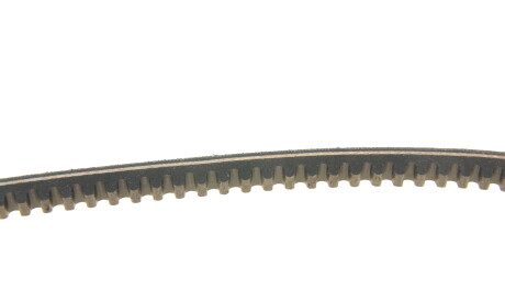 Фото 2 - Ремень приводной DAYCO 11A0650C