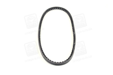 Фото 2 - Ремінь приводний DAYCO 11A0800C