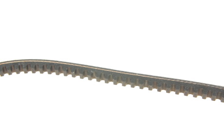 Фото 3 - Ремінь приводний DAYCO 11A0885C