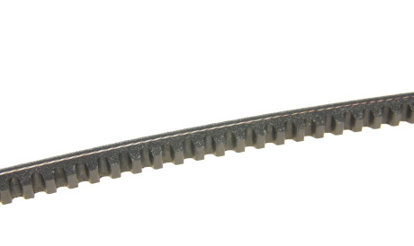 Фото 2 - Ремінь приводний DAYCO 11A0950C