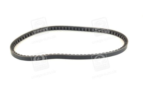 Фото 3 - Ремінь приводний DAYCO 13A0800C