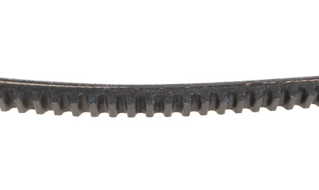 Фото 3 - Ремінь приводний DAYCO 13A0950C