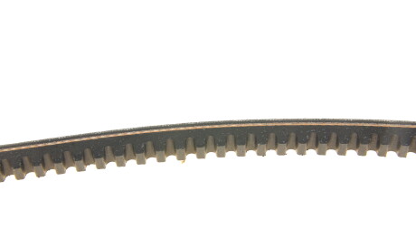 Фото 3 - Ремінь приводний DAYCO 13A1175C