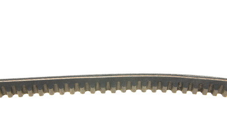 Фото 3 - Ремень приводной DAYCO 13A1250C