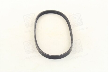 Фото 4 - Ремінь приводний DAYCO 3PK538